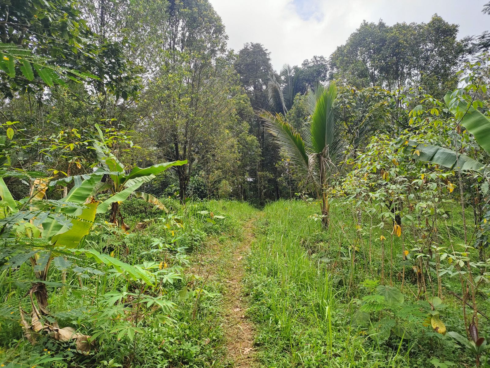 Foto Lahan C