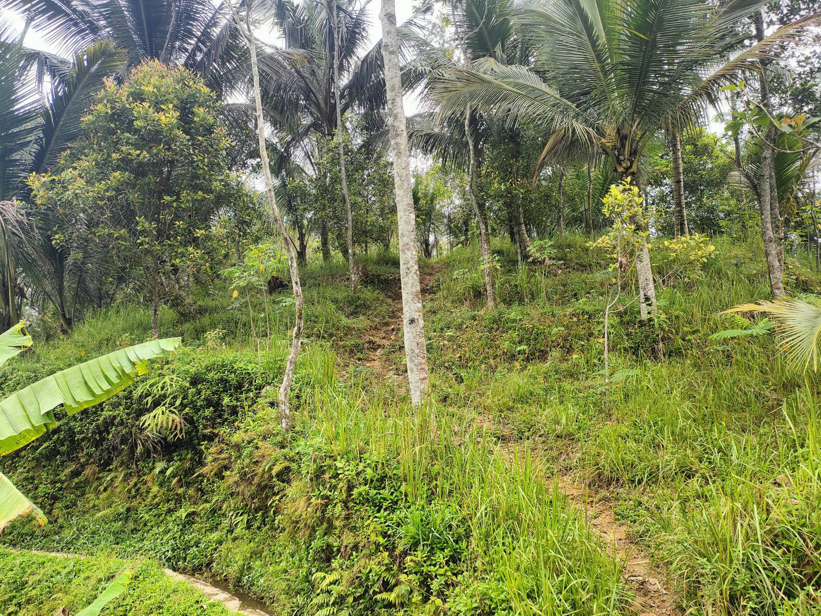 Foto Lahan C