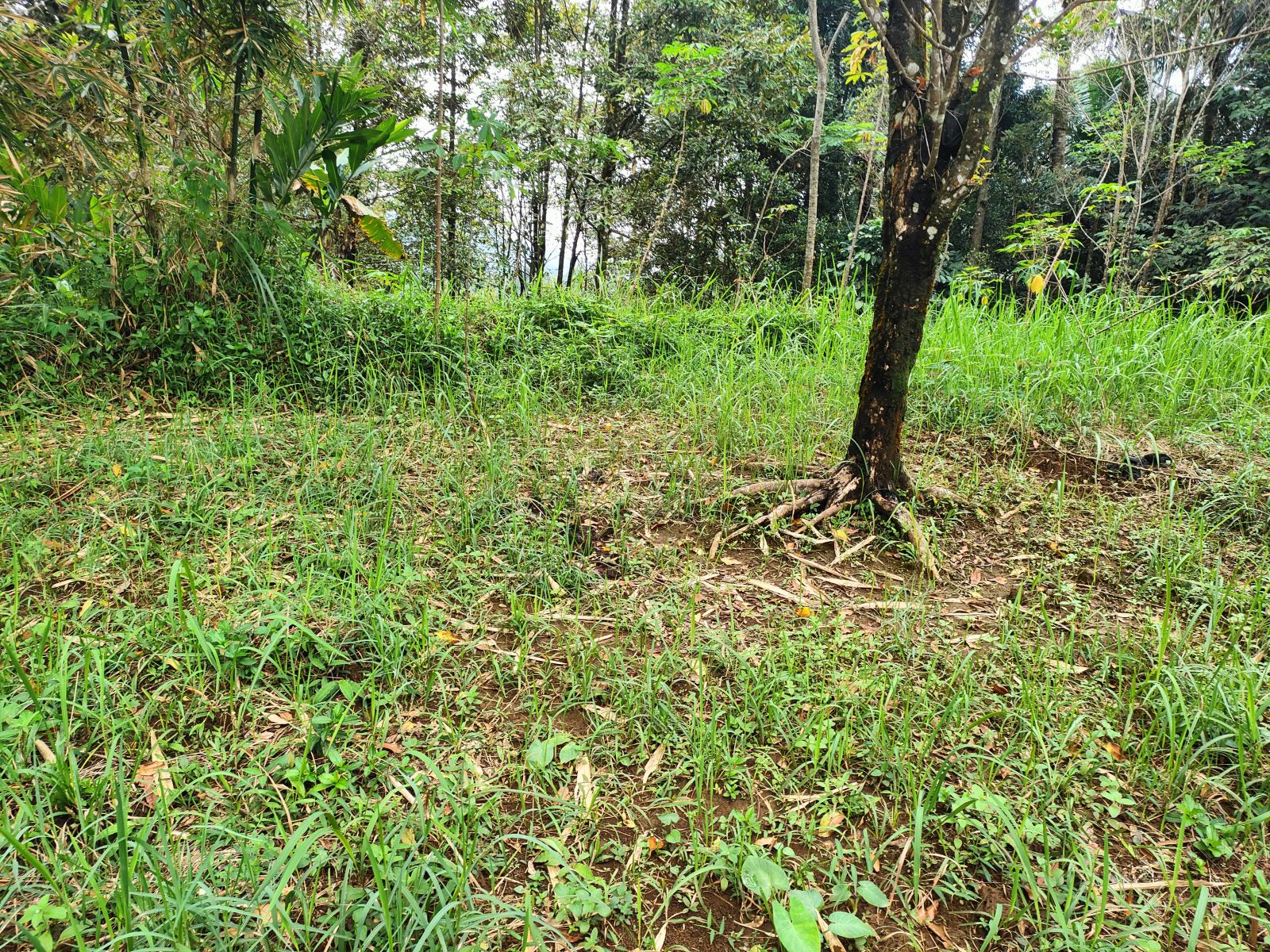 Foto Lahan C