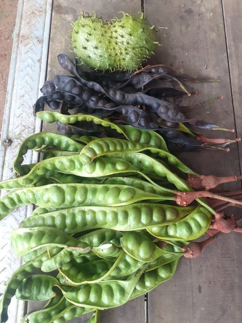 Foto Hasil Panen