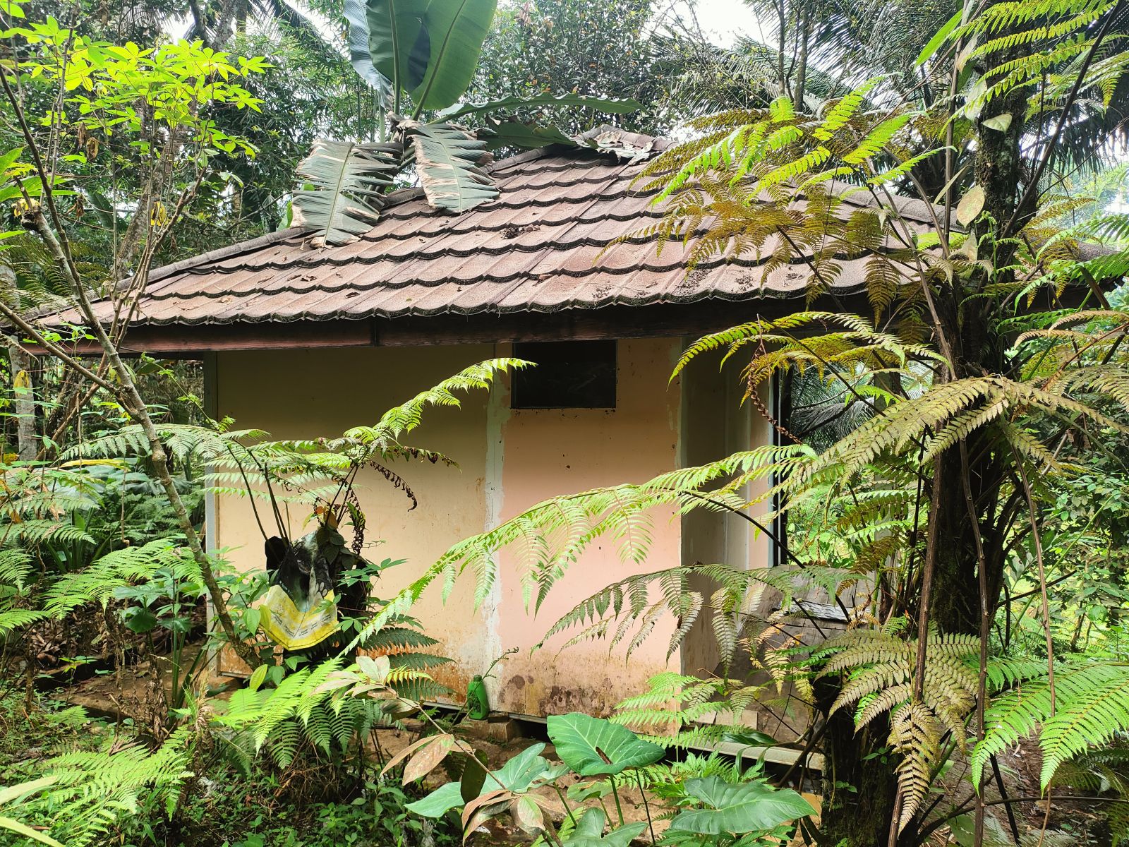 Foto Rumah & Kandang