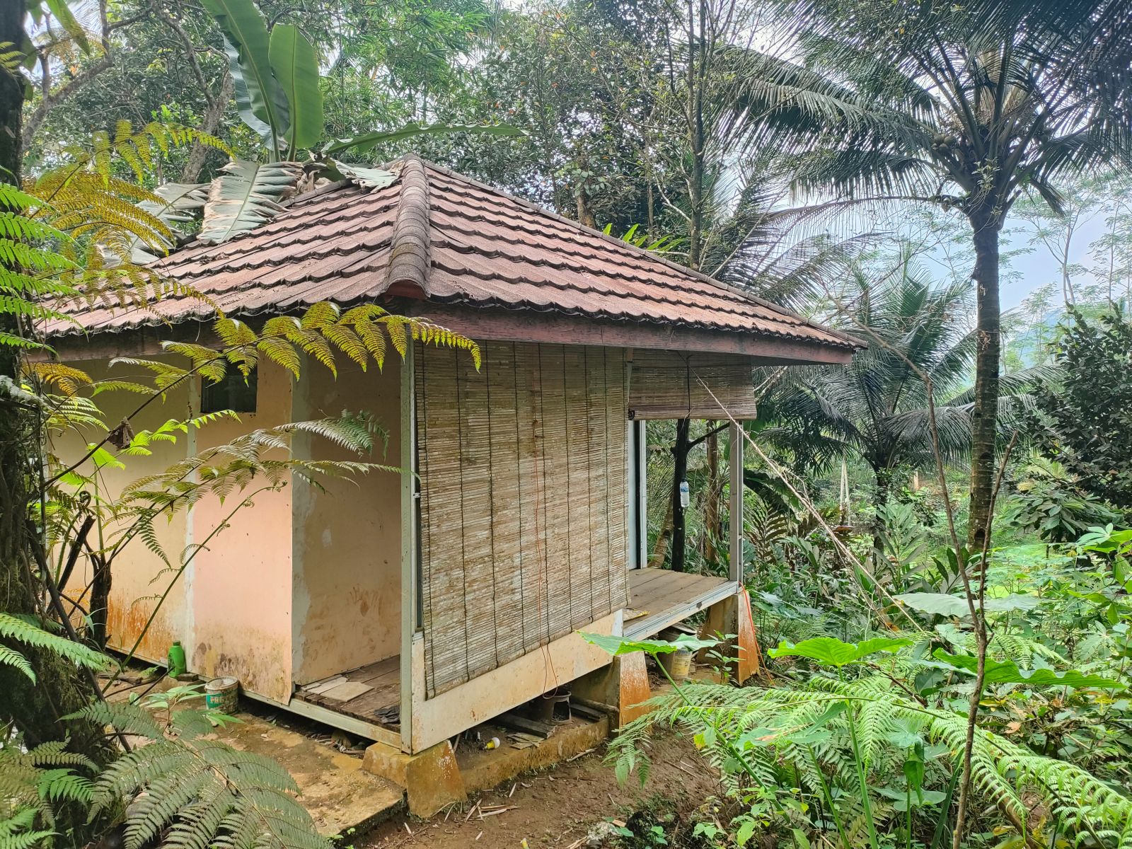 Foto Rumah & Kandang