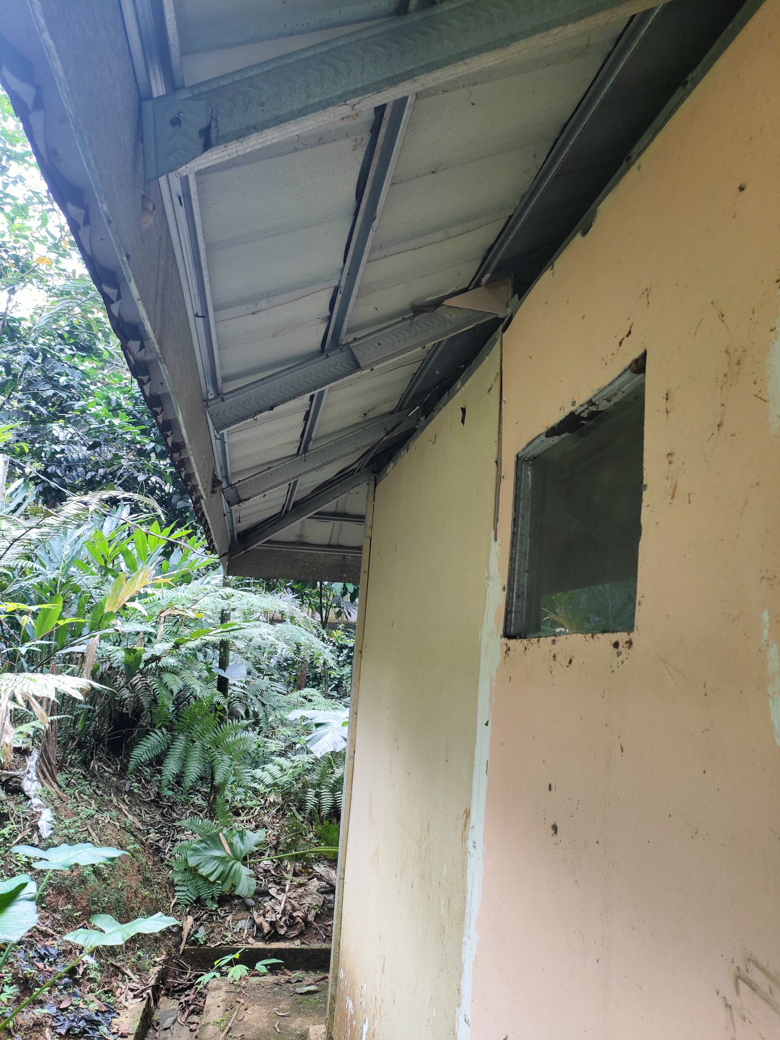 Foto Rumah & Kandang
