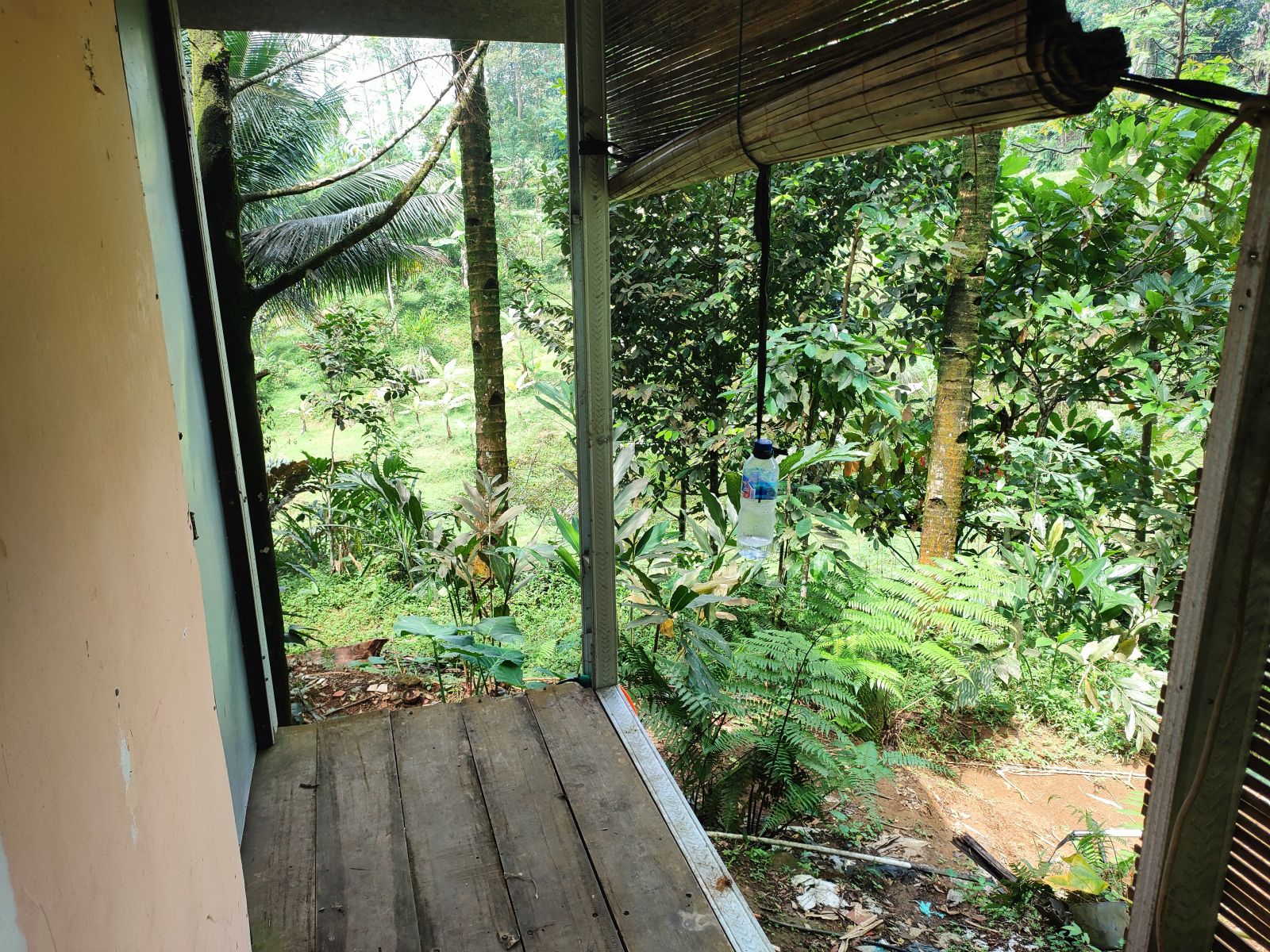 Foto Rumah & Kandang