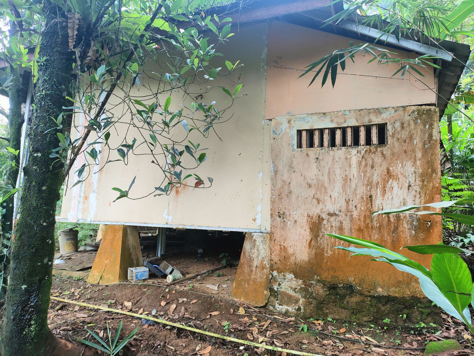 Foto Rumah & Kandang