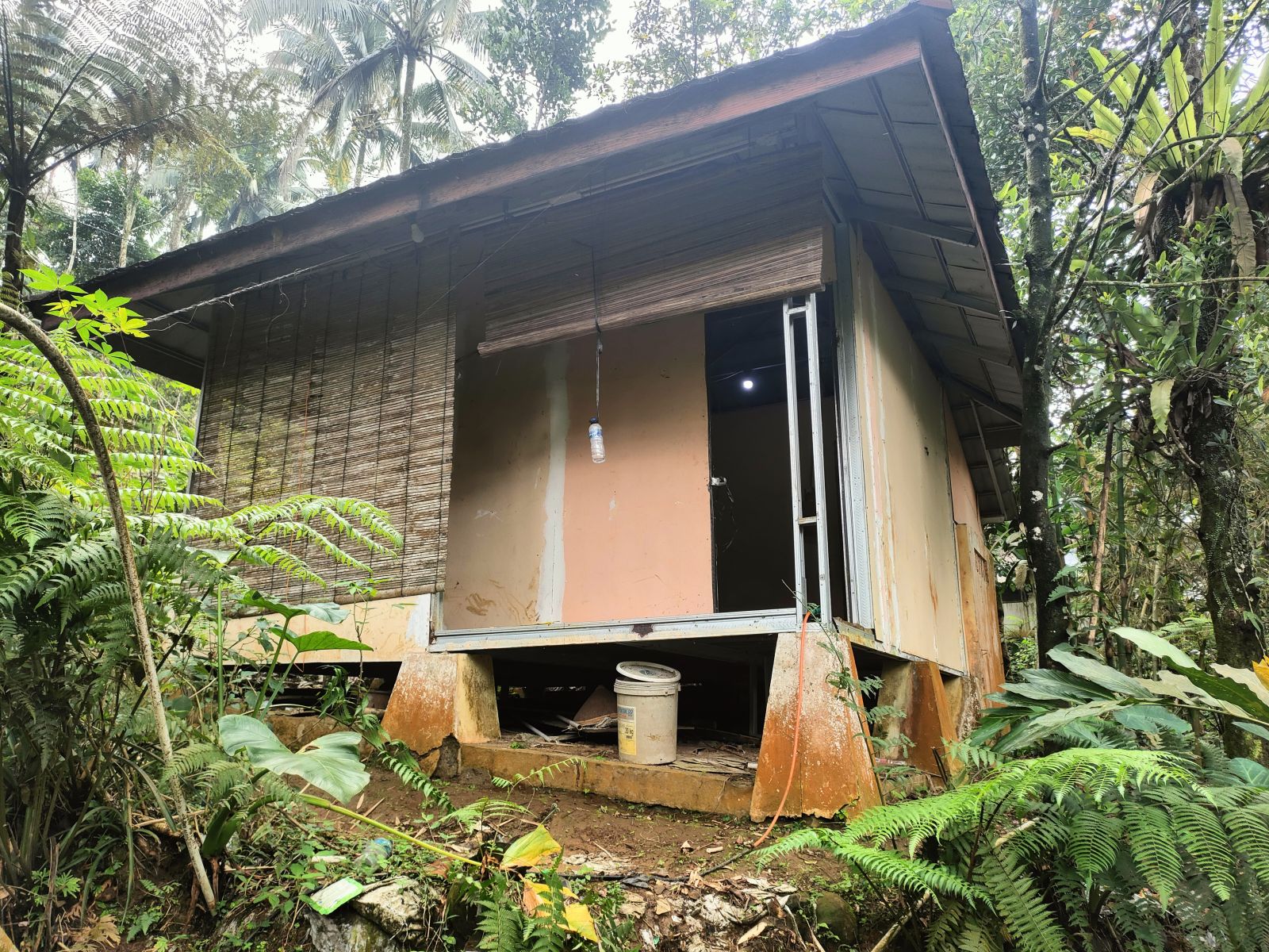 Foto Rumah & Kandang