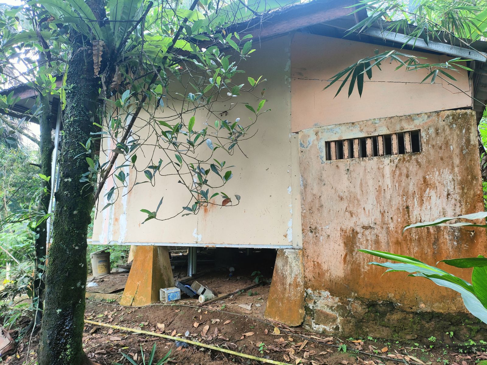 Foto Rumah & Kandang