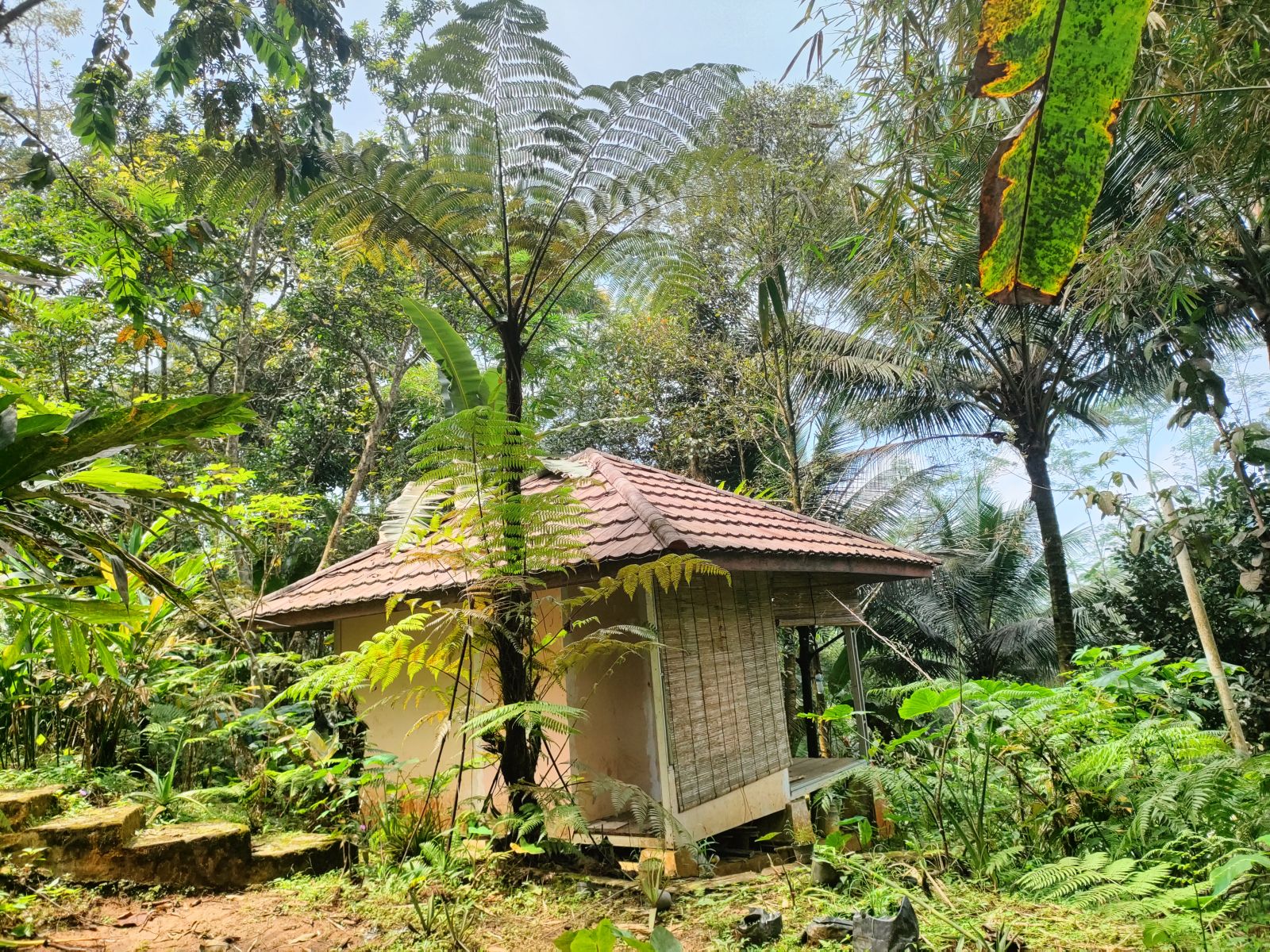 Foto Rumah & Kandang