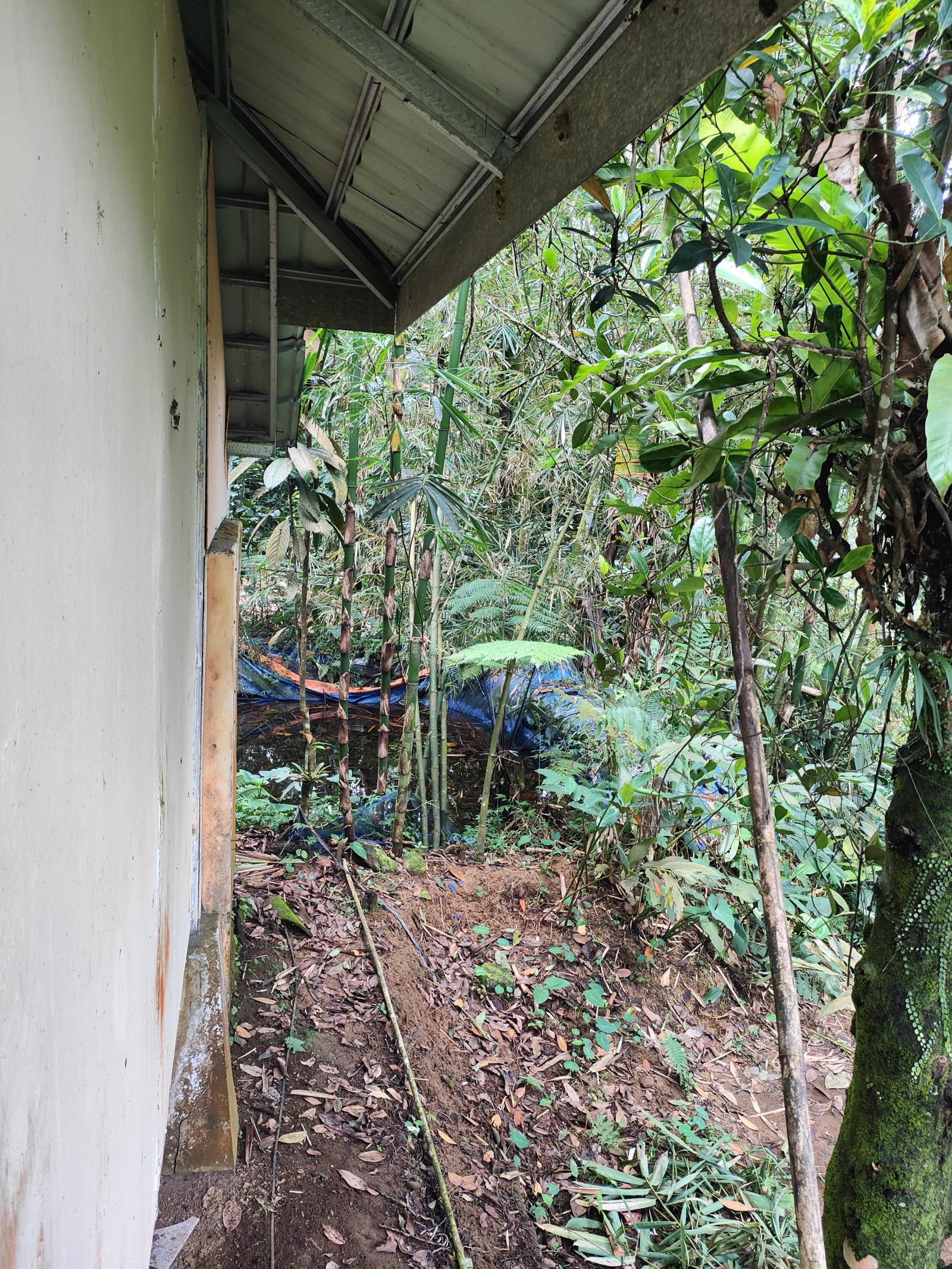 Foto Rumah & Kandang