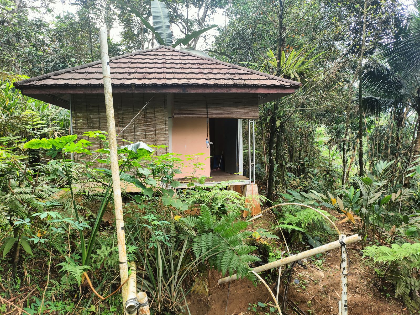 Foto Rumah & Kandang